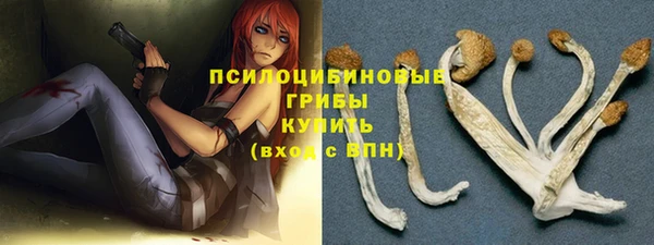 бутират Дмитриев