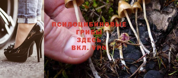 прущая мука Майский